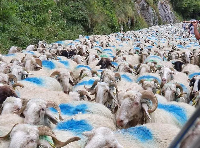 La Caverne 2* Laruns